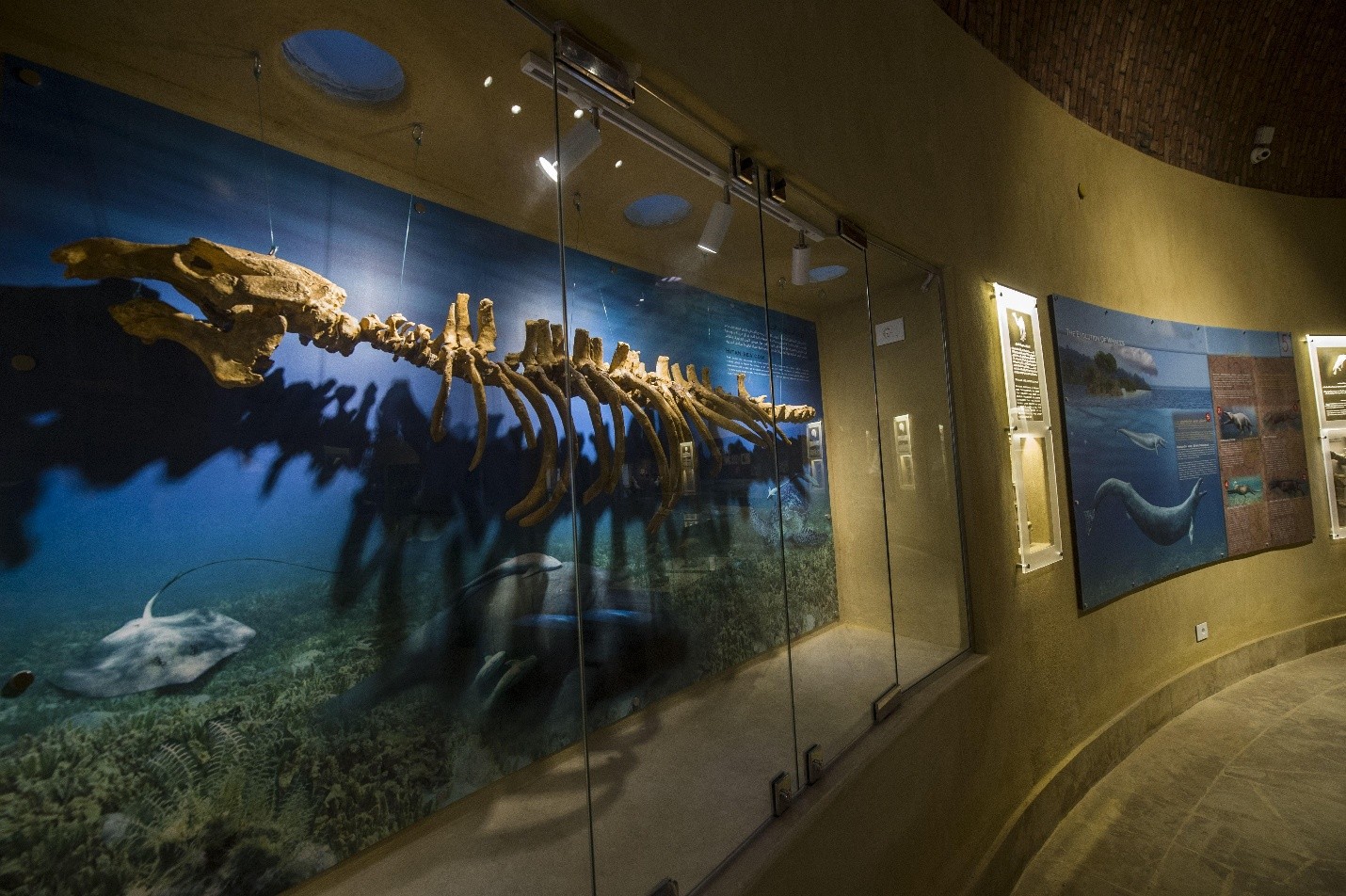 Fossil and Climate Change Museum