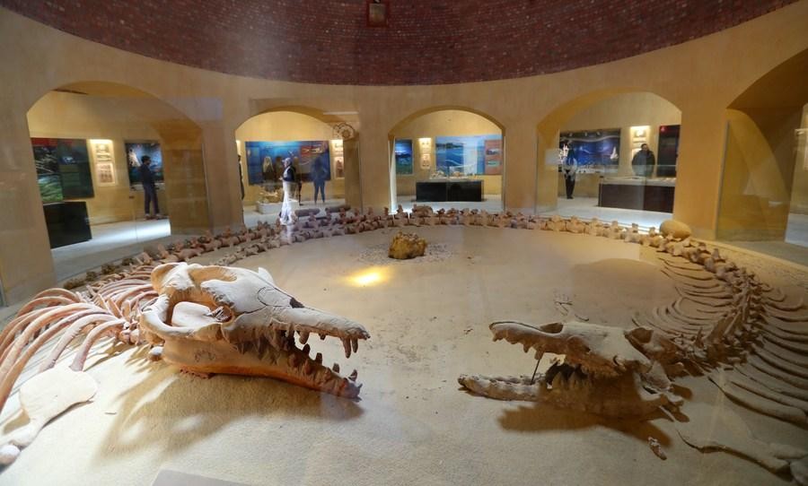 Fossil and Climate Change Museum