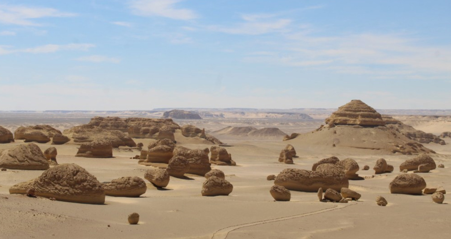 Fayoum Field Trip medgu 2026