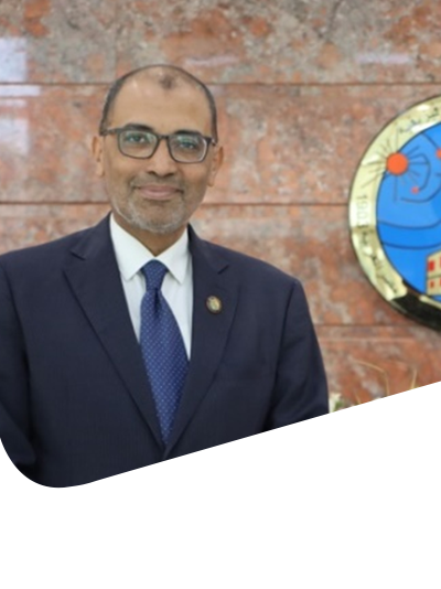 Hesham E. Mossa